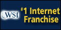 WSI Internet Franchise